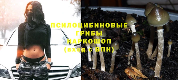 экстази Гусев