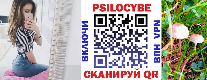 Галлюциногенные грибы Cubensis  Перевоз 